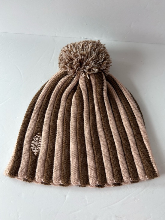 NWOT Free People FP Movement Alpine Pom Beanie - Picture 3 of 12